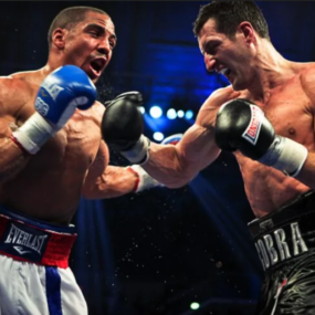 เป็นเพียงนักสู้